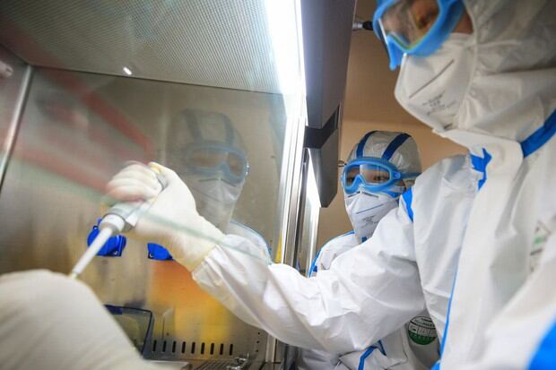 Técnicos de laboratorio analizan muestras de virus en un laboratorio en Hengyang, en la provincia central china de Henan (Foto: AFP)