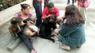 Callao: bomberos rescataron a siete mascotas de incendio en vivienda