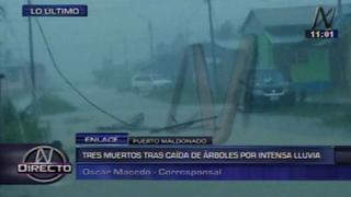 Caída de árbol por tormenta eléctrica mató a tres personas