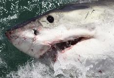 Costa Rica: estadounidense muere atacada por tiburón mientras buceaba