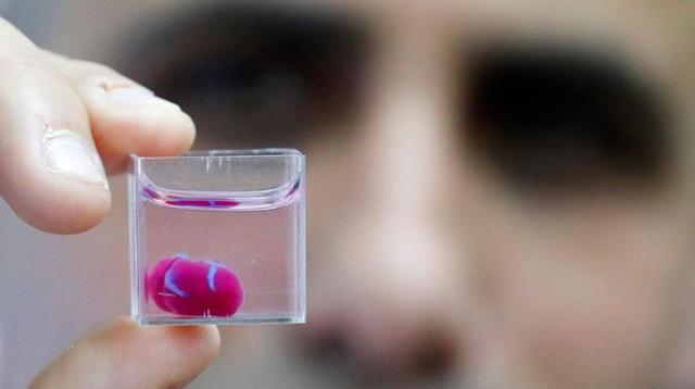 Investigadores de la Universidad de Tel Aviv han producido un corazón vivo que palpita utilizando tejido humano y una impresora 3D.  (Foto: AFP)