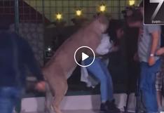 Mujer es atacada por un león delante de cámaras de televisión