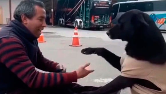 El video de un perro pidiendo a un lustrador de zapatos que limpie sus patas ha causado furor en Internet. Mira el video Youtube. (Captura)
