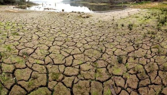 Zimbabue declara estado de emergencia por extrema sequía