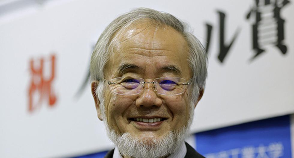 Nobel de Medicina para japonés Ohsumi por revelar mecanismos de la autofagia. (Foto: EFE)