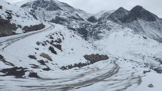 Puno: intensas nevadas bloquean carreteras y provocan muerte de alpacas en Corani 