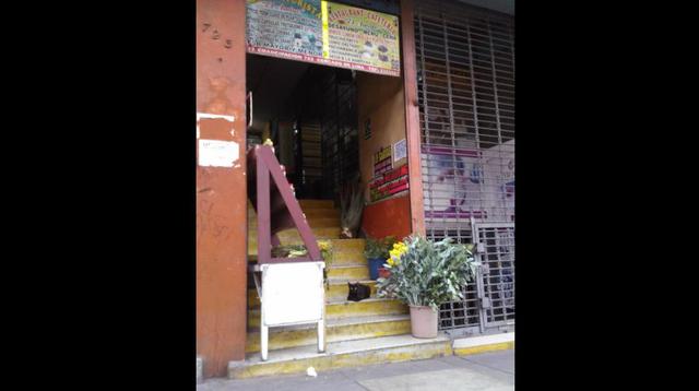 Estos gatos podrían atenderte al ir a comprar a una tienda - 4