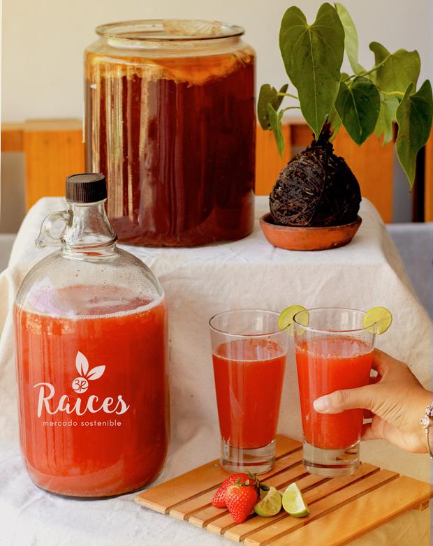 They started selling Raíces kombucha before starting the Madre Planta cafeteria.  You can buy it by the glass or take your container to have kombucha at home.