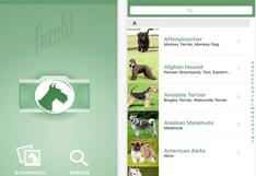 Microsoft lanza Fetch!, un app que determina la raza de tu perro