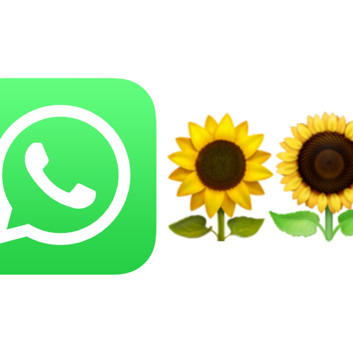WhatsApp | Por qué los usuarios están enviando el emoji del girasol en  septiembre | Emoticones | Meaning | Significado | Primavera | Flores |  Amarillas | nnda | nnni | DATA | MAG.