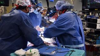 Muere dos meses después el paciente que recibió un trasplante de corazón de cerdo