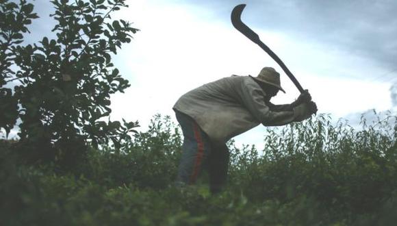 Este agricultor, quien fue sometido a esclavitud en Brasil, muestra cómo debía segar la tierra con un hoz similar a ese. Foto del 2015.