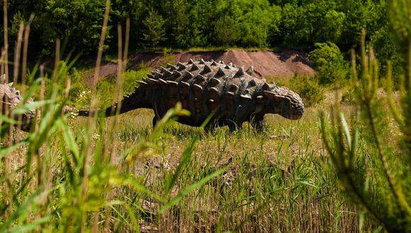 Imagen de referencia del Ankylosaurus (lagarto acorazado, en griego). (Foto: Pixabay)