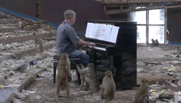 Los animales se mostraron curiosos al escuchar la música. (Foto: Paul Barton | YouTube)