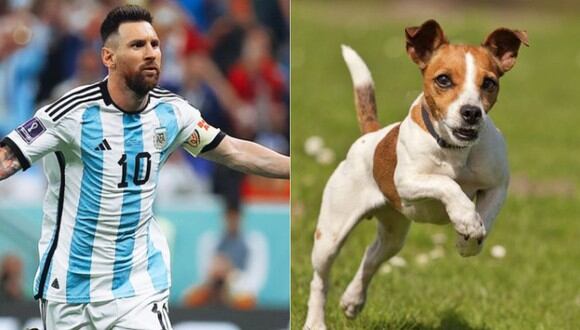 Lionel Messi es comparada con la raza canina jack russell terrier. (Imagen: @leomessi / @@valentingomez11)
