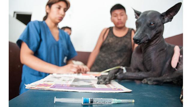 Más que una posta, un oasis - 4