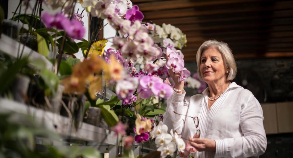 La diseñadora de flores Renata Canepa tiene una colección de más de 700 orquídeas. Todos los días está al pendiente de ellas.