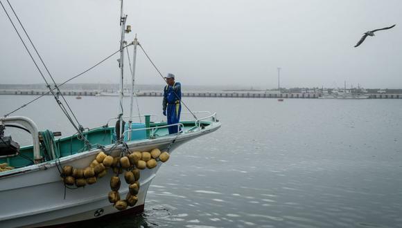 Los pescadores nipones temen que el vertido previsto afecte a las especies marinas que explotan.