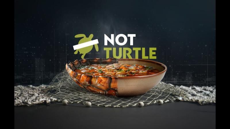 Not Turtle, el proyectó que unió al chef peruano Diego Oka y a la empresa de tecnología alimentaria NotCo.