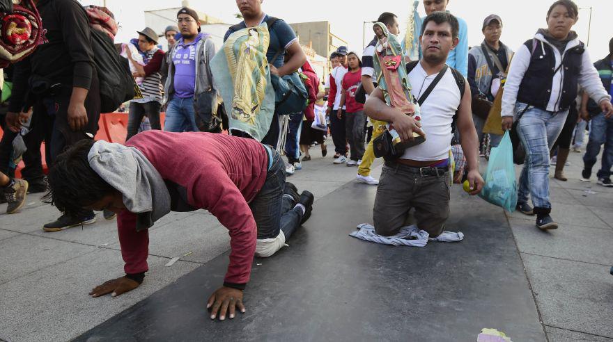 De rodillas: Así peregrinan millones por la Virgen de Guadalupe - 2