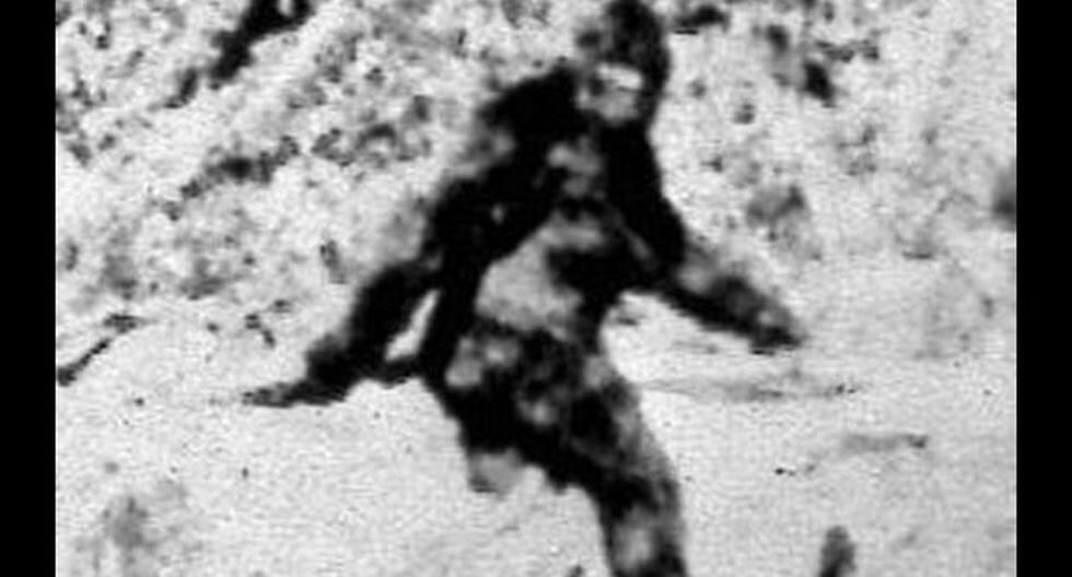 'Bigfootología' y el estudio de Pie Grande TECNOLOGIA EL COMERCIO PERÚ