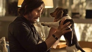 La muerte del perro de John Wick: la pelea detrás de cámara por eliminar al acompañante de Keanu Reeves