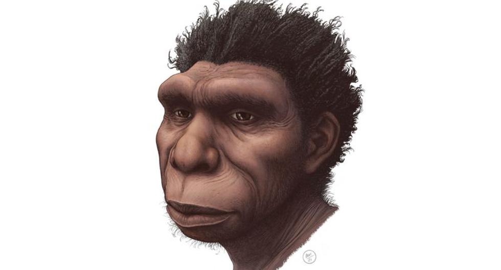 Homo bodoensis: the new species that a group of scientists considers “the direct ancestor of humans”