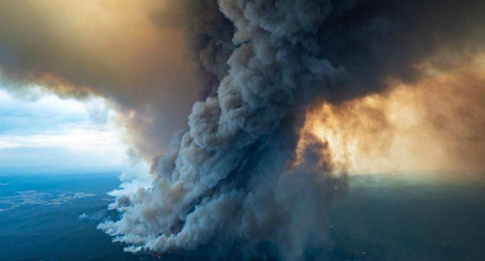 Australia sufre catastróficos incendios forestales en varias regiones. (Foto: DELWP GIPPSLAND HANDOUT)