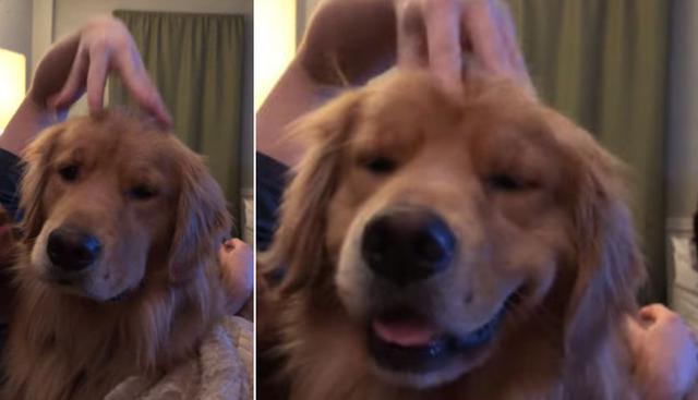 El can ha dejado boquiabiertos a una gran cantidad de cibernautas de la red social. (YouTube: ViralHog)