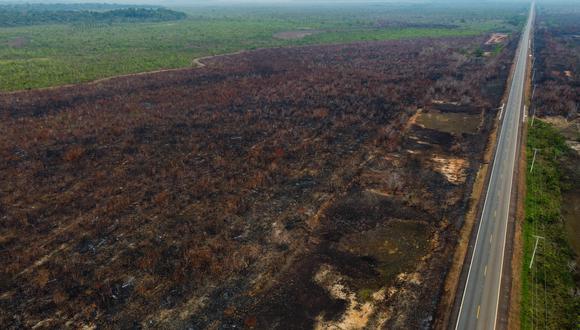 Vista aérea de un área deforestada de la selva amazónica en los alrededores de la carretera BR-319 en la ciudad de Humaita, estado de Amazonas, Brasil, el 15 de septiembre de 2022. (Foto de MICHAEL DANTAS / AFP)