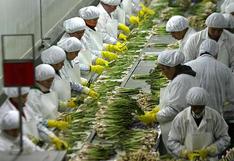 Perú: agroexportaciones llegarán a US$ 7,000 millones a fin de año