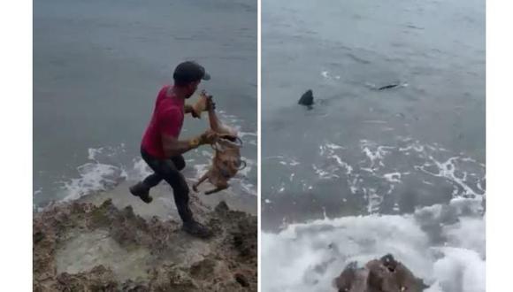 Imagen del momento cuando el hombre lanza al mar al perro.