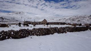 Puno no soportaba una nevada como la de Carabaya desde hace 10 años