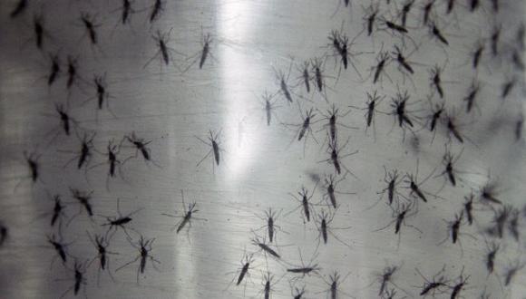 Colombia: unas 75 mil personas tendrían chikungunya