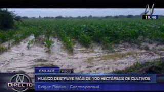Ica: lluvias afectan cultivos y vías en Chincha, Palpa y Nasca