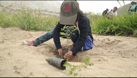 Ecuador busca imponer récord Guinness con plan de reforestación