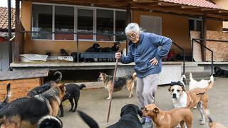Tiene 71 años, cuida a más de 160 animales en casa y necesita ayuda para seguir con su loable acción