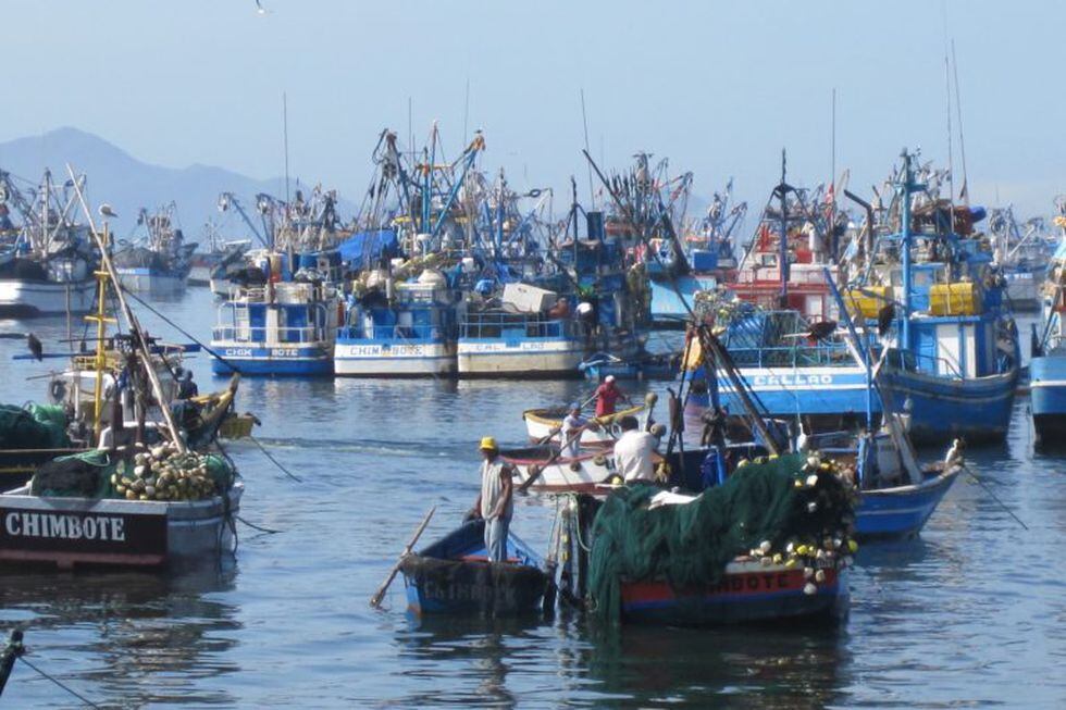 “En cuanto al protocolo de operación para las actividades de la próxima temporada de pesca, hemos procedido adecuar el mismo a los lineamientos emitidos por el Minsa el miércoles 29 de abril”, afirmó Cayetana Aljovín, presidenta de la SNP. 