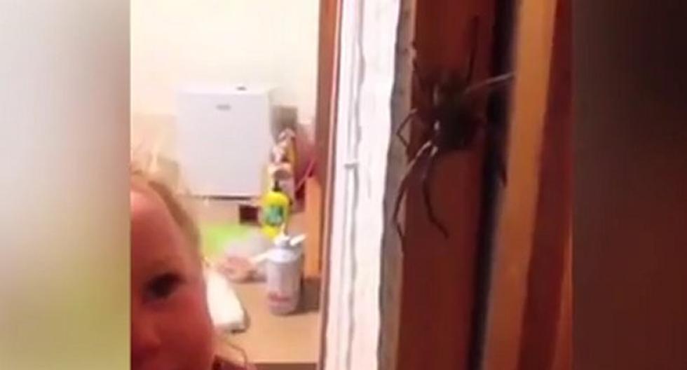 Esta niña no parece tenerle miedo a la araña gigante. (Foto: Captura)