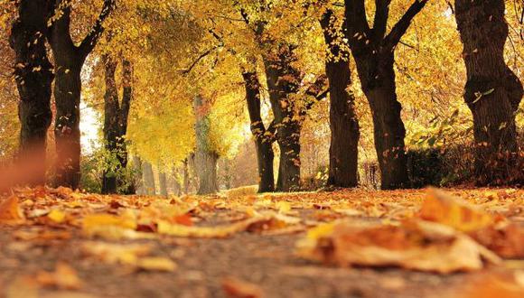 El otoño concluirá el 20 de junio cuando inicie el invierno. (Foto: Pixabay bajo licencia CC0)
