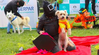Concurso de disfraces “Canoween” en Los Olivos: conoce AQUÍ cuándo, dónde y cómo inscribir a tu perrito