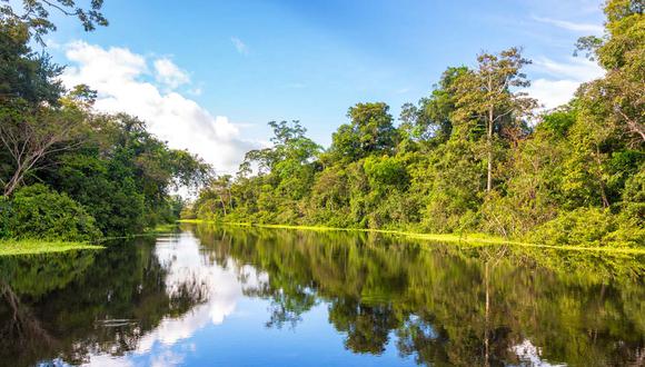 Amazonía peruana almacena la tercera reserva de carbono más grande del mundo. (Foto: shutterstock)