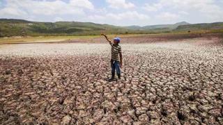 Sequía en Centroamérica amenaza a 2,5 millones de personas