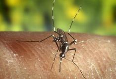 Chikungunya: Todo sobre la enfermedad que amenaza a América 