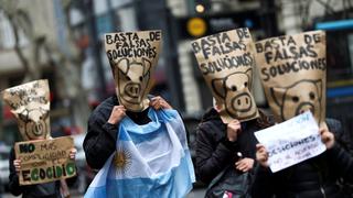 Argentina: ambientalistas marchan para exigir leyes de protección de los humedales | FOTOS