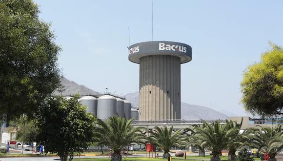 Backus planea comprar 7,000 toneladas de maíz amarillo este año. (Foto: Diana Chávez | GEC)