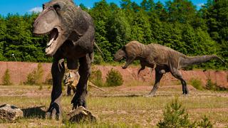 El Tiranosaurio rex caminaba a la misma velocidad que los humanos