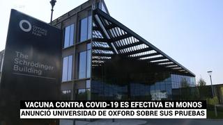 Universidad de Oxford anunció que su vacuna contra el coronavirus funcionó exitosamente en monos