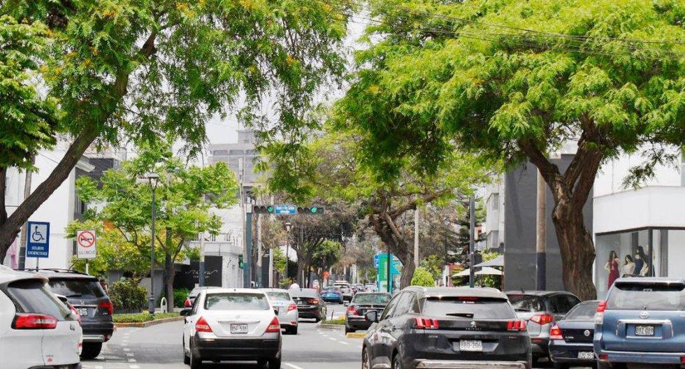 Las doce cuadras de la Avenida Conquistadores han sido tomadas por distinguidas marcas que convierten dicha avenida en un paso obligatorio en esta temporada. (Foto: Difusión)