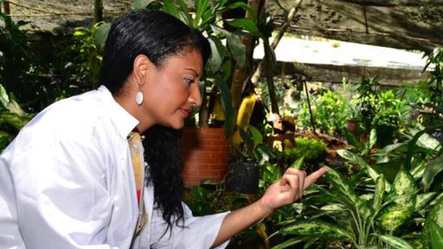 El hilo de araña alargaría la vida de la batería de tu celular - 3